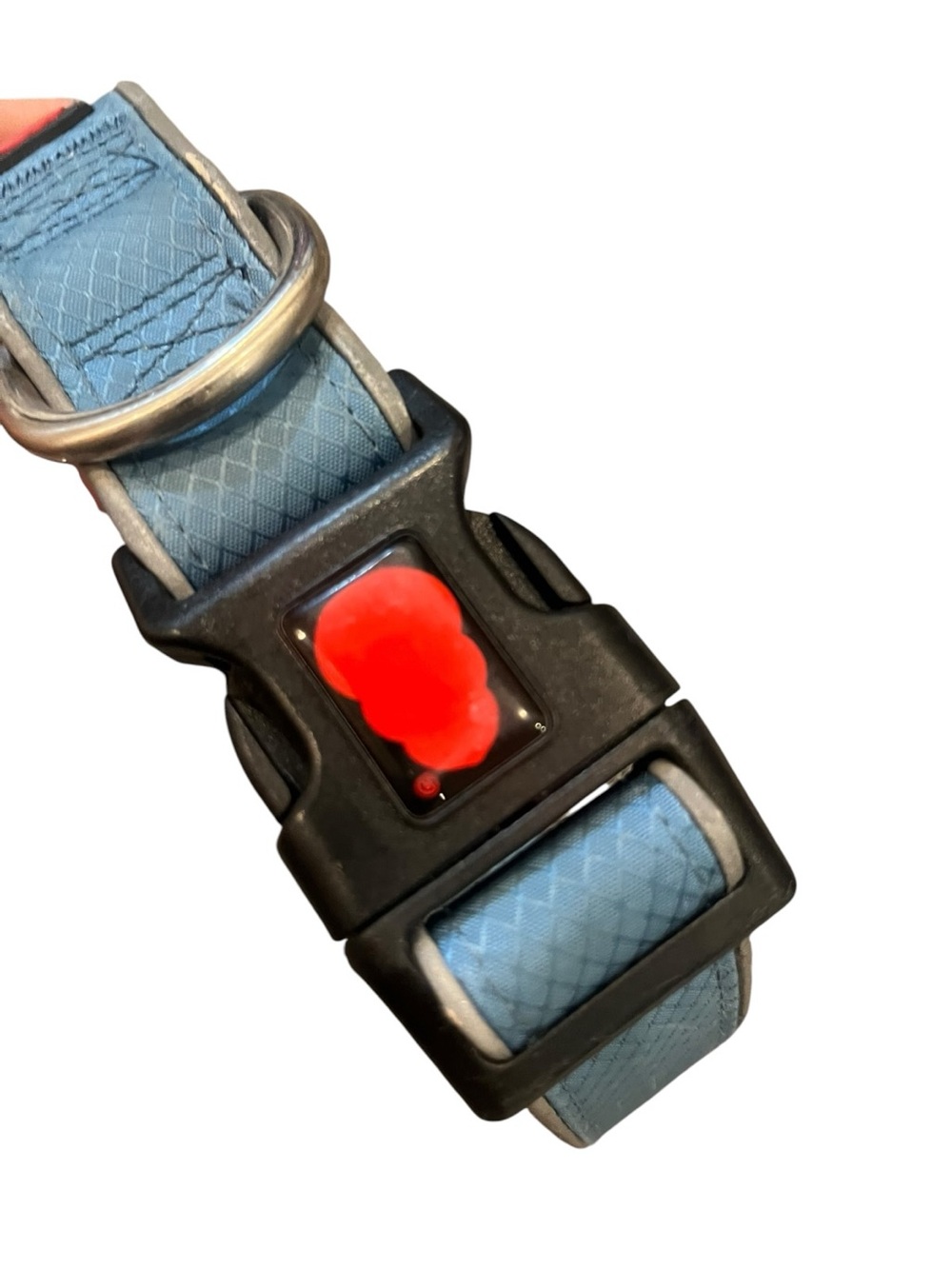 Kong Blue Dog Collar with Red Accent Buckle